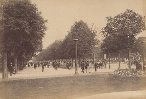 Avenue des Champs Elysees Paris Street Life Old Instantaneous Photo 1885