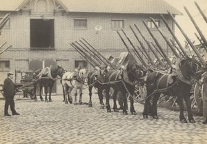 Paris Horse Messageries Nationales Old Delton Photo 1900