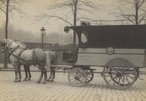 Paris Horse Messageries Nationales Old Delton Photo 1900