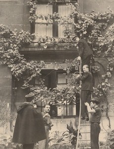 Paris Wine Grape Gathering Coupole France old Photo 1938