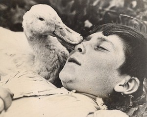 London Unusual Friendship Boy Duck Old Photo 1938
