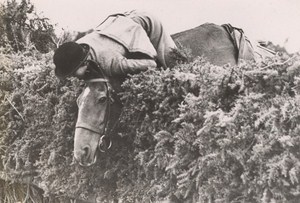 United Kingdom Hunter Trials Knebworth Unusual Jump Old Photo 1938