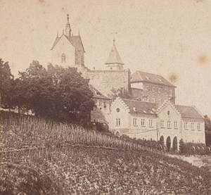 Germany Baden Baden Vineyard & Castle New Old Photo Stereo 1880