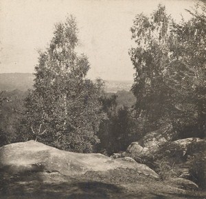 France Fontainebleau Mont Chauvet Old Stereo Photo SIP 1900