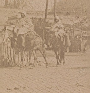 Algier Street Scene Algeria Old Stereo Photo 1890