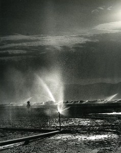 Irrigation Portrait Amiram the little Israeli Israel Old Photo Maziere 1965