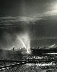 Irrigation Portrait Amiram the little Israeli Israel Old Photo Maziere 1965