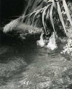 The Bath Portrait Amiram the little Israeli Israel Old Photo Maziere 1965