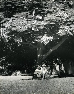 Under the Tree Portrait Amiram the little Israeli Israel Old Photo Maziere 1965