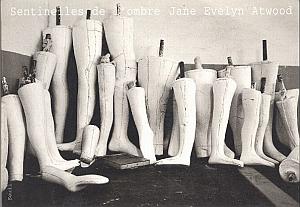 Sentinelles de l'ombre par Atwood, Jane Evelyn
