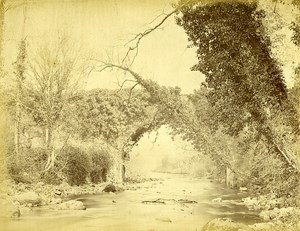 Ireland Eire Wiclow Bridge over Dargle River Old Albumen Photo 1875