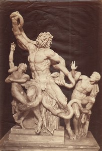 Vatican Museo Vaticano Laocoön and His Sons Sculpture Old Photo Verzaschi 1875