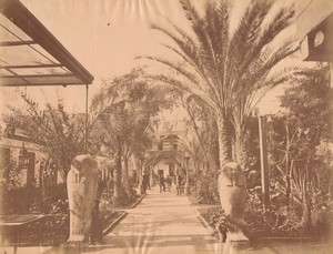 Egypt Cairo or Alexandria? Nile Hotel Garden Old Photo 1875