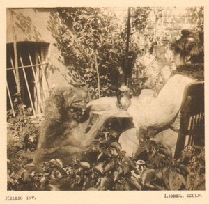 Belgium l'Art en Photographie Lady & Dog Garden old Halftone Rellio 1901