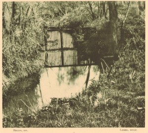 Belgium l'Art en Photographie Nature old Halftone Rellio 1901