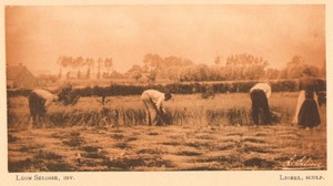 Belgium l'Art en Photographie Harvest old Halftone Leon Selosse 1901