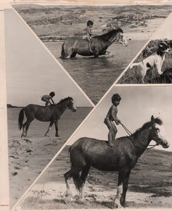 Easter Island Rapa Nui Orongo Horseback 4 Old Maziere Photos 1965 #5