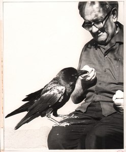 Israel Amiram Young Boy Old Man & Crow Old Maziere Photo 1969 #2