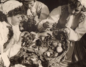 Poland Zielona Géra Harvest Festival Old Photo 1962