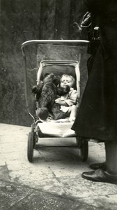 Young Boy & his Bear & his Stroller France old Snapshot Photo 1930
