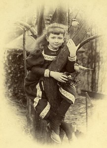 Taxidermy The Young Girl Birds & Nest Composition France Old Cabinet Photo 1890