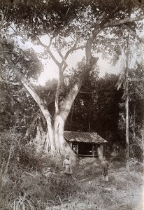 Ban Roi Pagoda Indochina French Occupation Vietnam Old Photo Tong Sing 1895