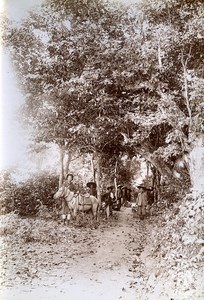 Road Cong Chua to Ban Dan Indochina Vietnam Old Photo Tong Sing 1895