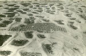 North Africa Tunisia Tozeur Panorama Old Aerial Photo 1924