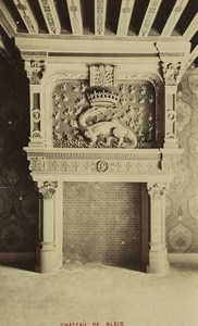 France Blois Castle Fireplace Salamander Architecture old Albumen Photo 1880