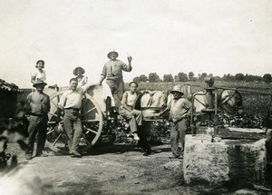 France Grape Harvest Wine Scene Horse Occupational Old Photo 1920