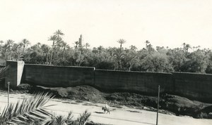 Morocco Marrakech garden & Koutoubia Old Amateur Photo 1939