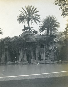 France Nice Public Garden Old Amateur Photo 1904