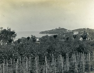 France Around Nice Panorama Old Amateur Photo 1904