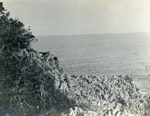 France Around Nice Seaside Old Amateur Photo 1904