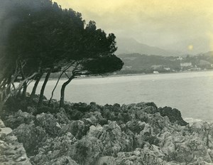 France Around Nice Panorama Seaside Old Amateur Photo 1904