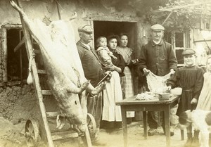 France Melun Pig Slaughtering Tradition Farm Old Amateur Photo 1907