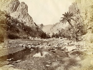 Algeria Sahara Oasis Old Photo 1890