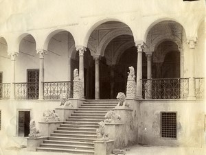 Tunisia Tunis Lions Steps at Bardo Palace Old Photo Garrigues 1890