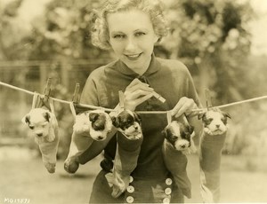 Karen Morley drying her dogs on Laundry Line MGM Photo 1932