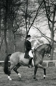 Belgium Horse Piaffé Training Jan Bemelmans Old Photo Vanderhaegen 1980