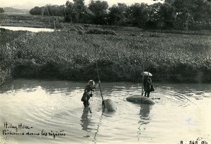 Vietnam Indochina Tonkin Hung Hoa Fishermen in rice fields Old Photo 1925