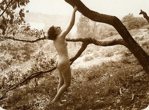 France Risque Nude Study Woman Outdoor Tree Countryside Marcel Meys Photo 1920