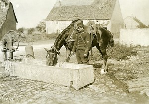 France Grand Military Manoeuvres East Army Horse Old Photo Meurisse 1911