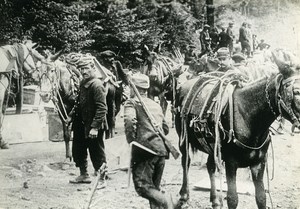 Orient Front First World War Military Old Photo 1918