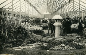 President Doumergue Horticultural Exhibition Greenhouse Paris Old Photo Rol 1931