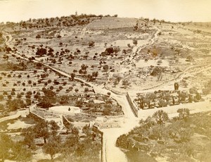 Middle East Palestine Mount of Olives Old Anonymous Albumen Photo 1880