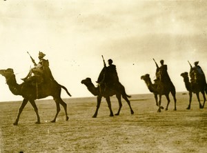 Libya Italian Meharists & Auxiliary Camel Troops Old Photo 1935