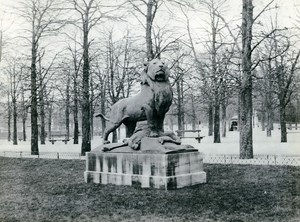 France Paris Luxembourg Garden Auguste Cain Lion Statue Old Photo 1900