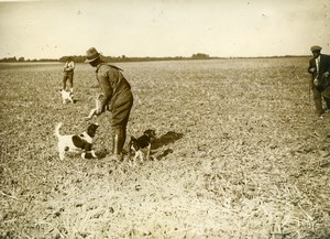 France Hunting Opening Dog Hunter & Game Hare ? Lievre Old Press Photo 1948