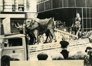 London Lord Mayor Election Parade Agriculture Float Old Press Photo 1947